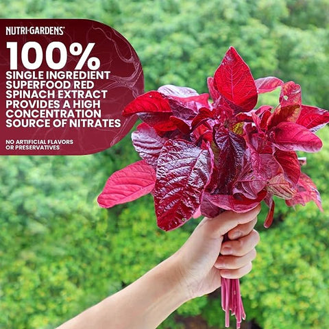 VITA SPINACH® - NutriGardens