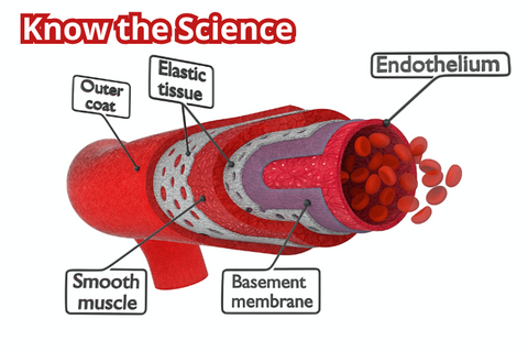 Foods that Deplete Nitric Oxide