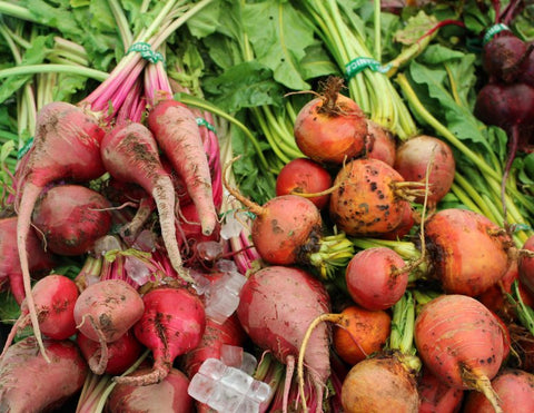 Beetroot Side Effects and Reactions - NutriGardens