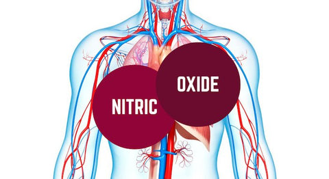 Nitric Oxide In the Body - NutriGardens