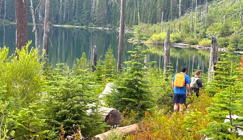 Save 25%! Use: BLACKFRIDAY25