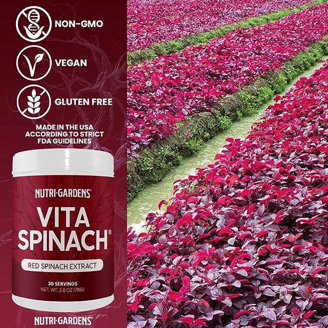 VITA SPINACH® Red Spinach Extract Supplement Nutrigardens