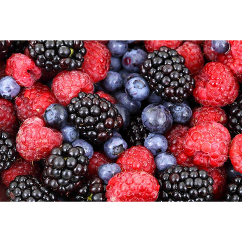 BERRY ALERT™ - NutriGardens