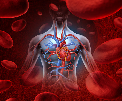 Functional foods for energy and endurance.